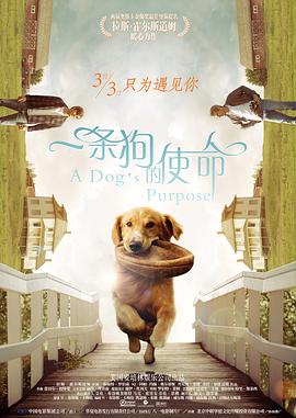 西西大胆直播